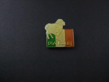 Dia Duuit ( hallo in het Iers) vlag van Ierland met schaap